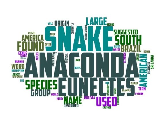 Anaconda Typography Book Cover: A Vibrant Word Cloud for Creative Expression