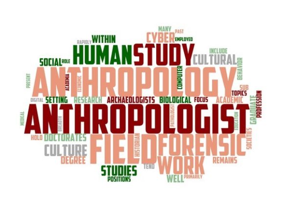 Anthropologist Typography Banner: Inspire Meaningful Design Across Everyday Creations