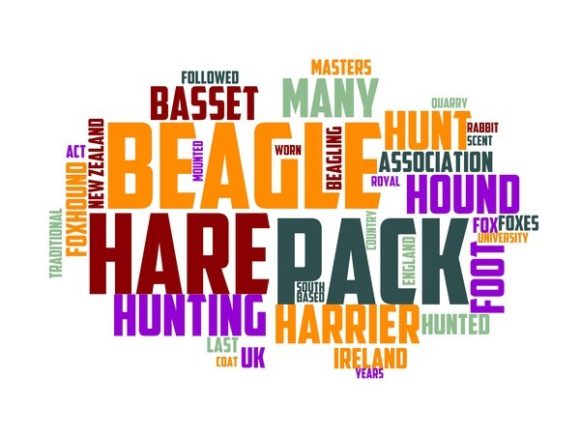 Beagling Typography Sublimation