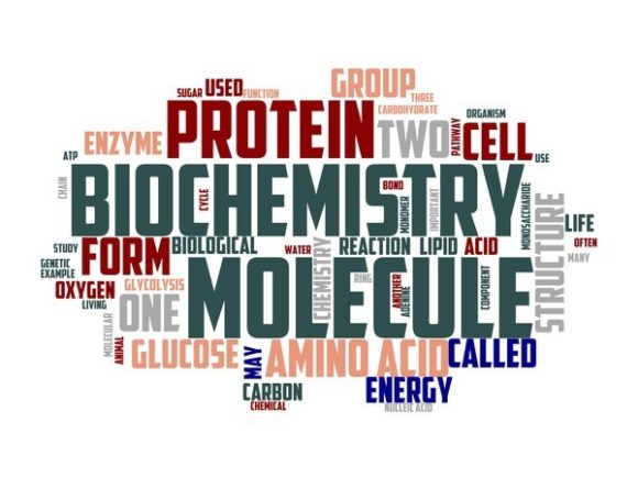 Biochemist Typography Banner: A Unique Design for Creative Expression