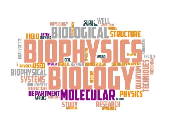 Biophysics Typography T-shirt: A Creative Fusion of Science and Art